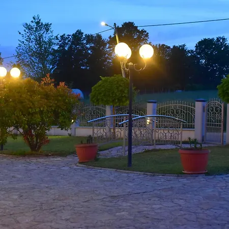 Royal Blue Rose Čačak