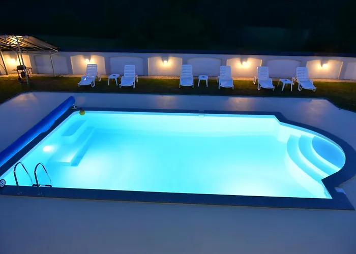 Royal Blue Rose Čačak